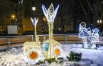 Świąteczna iluminacja przed Warszawskim Szpitalem Dla Dzieci