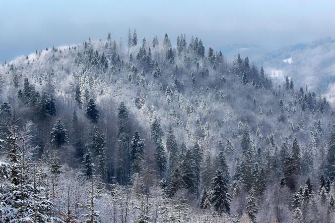 Pogoda w Małopolsce: Wtorek pochmurny, miejscami sypnie śniegiem [POGODA 27.11.2018]