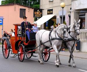 Święto plonów w Katowicach. Podlesie gościło tłumy