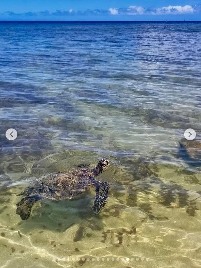 Ten wpis Anity Werner poruszył tysiące osób. Nikt się tego nie spodziewał!