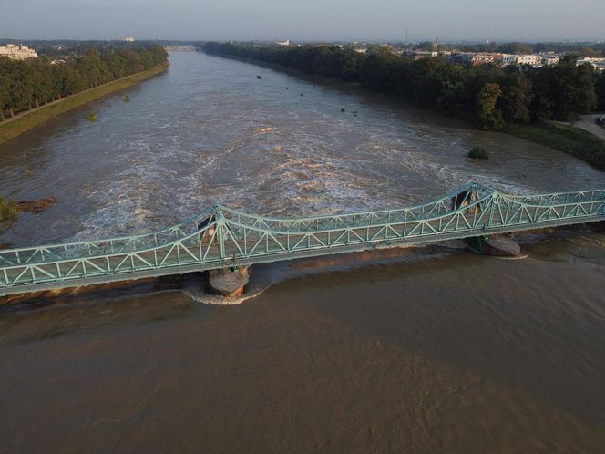 Powódź we Wrocławiu. Tak wygląda Odra w czwartek 19.09.2024 