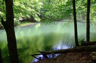 Jeziorka Duszatyńskie