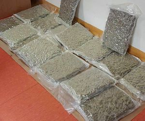 Akcja CBŚP. Pseudokibic zatrzymany