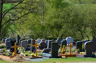 Jak znaleźć grób bliskich w Poznaniu? Skorzystaj z wyszukiwarki