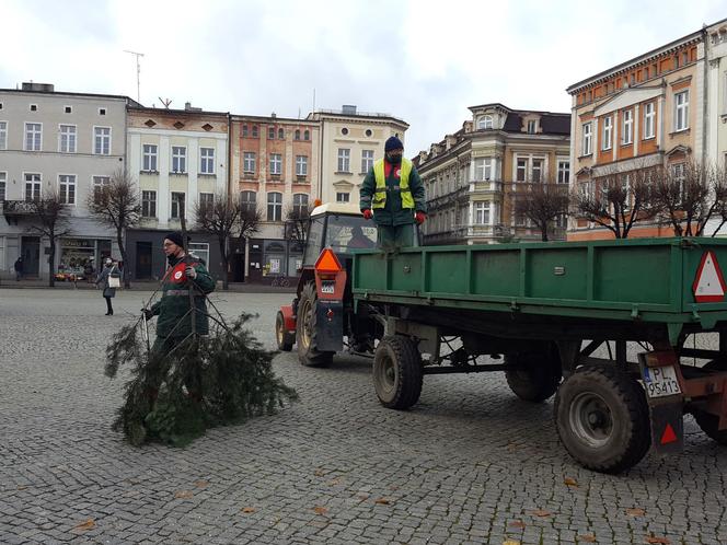 ​Leszno szykuje się na święta. Na rynku przy ratuszu stanęła choinka