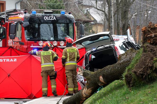 Drzewo przewróciło się na jadący samochód w Zakopanem