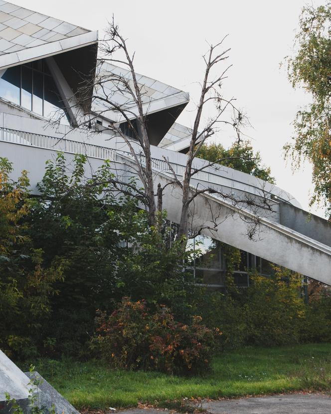 Hala Arena Poznań - zobacz zdjęcia historycznego budynku z niepewną przyszłością