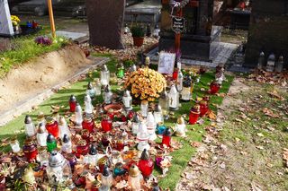 Grób Stanisława Sojki