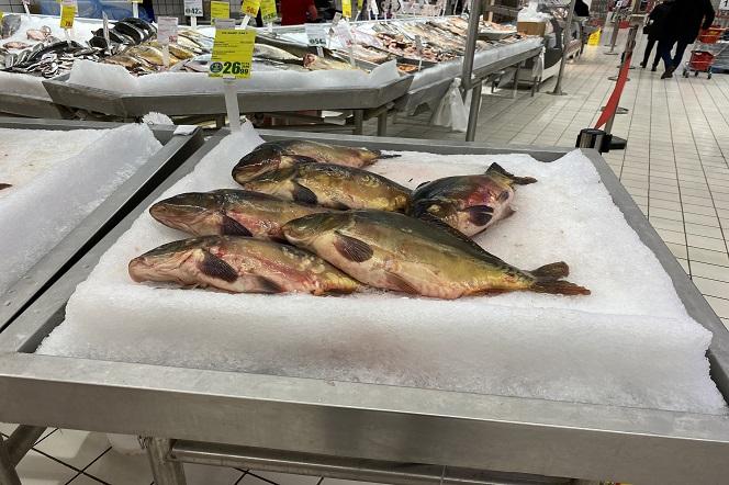 Ceny karpia w Białymstoku. Ile zapłacimy za kilogram ryby w Podlaskiem? [LISTA]