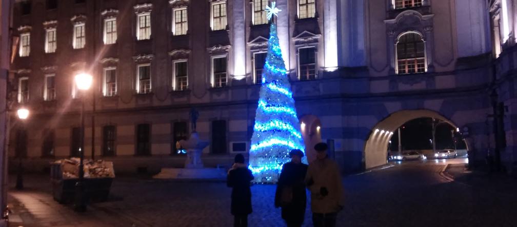 Choinki we Wrocławiu