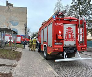 Pożar w kamienicy w Lesznie. Strażacy wynosili sadzę z komina wiadrami 