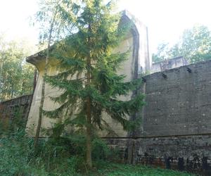 Monumentalna śluza Leśniewo z symbolami III Rzeszy ukryta w mazurskim lesie. Jest owiana tajemnicą [ZDJĘCIA]