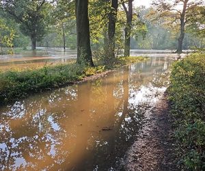 Powódź w gminie Szprotawa 