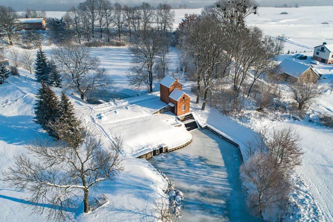 Światowy Dzień Kociewia 