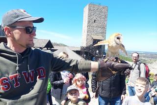 Majówka na Zamku Królewskim w Chęcinach