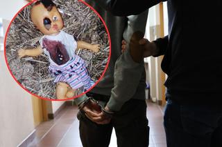 Straszył dzieci zakrwawioną lalką bez oka! Kierowca autobusu został zatrzymany