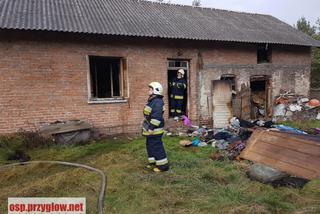 80-latka zginęła w pożarze swojego domu. Jej ciało leżało obok spalonego łóżka 