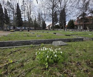  Cmentarz Armii Radzieckiej