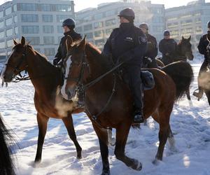 Warszawa: konie w policyjnej służbie