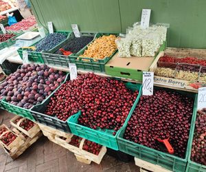 Najlepszy rynek w Łodzi według AI