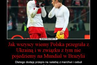 Ukraina - Polska 1:0, MEMY