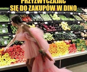 Memy o Dino obiegły social media