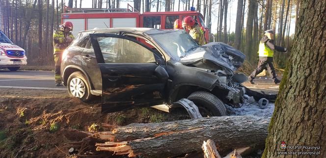 Przasnysz. Auto z kobietą i dzieckiem uderzyło w drzewo! Później spadł na nie pień! [ZDJĘCIA]