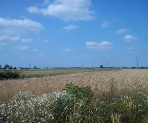 Najbiedniejsze gminy wiejskie w Łódzkiem. W tych samorządach dochód per capita jest najniższy