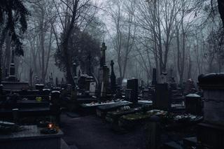 W Darłowie powstają kolumbaria
