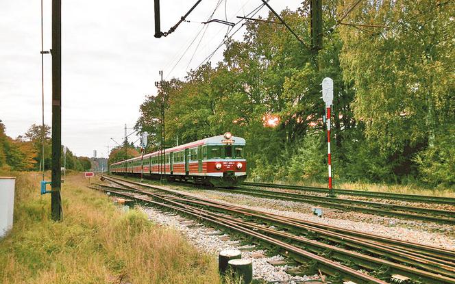 	Ola zginęła na słupie