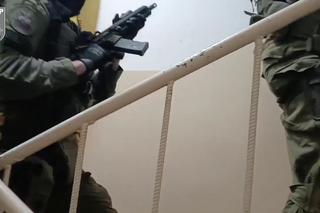 Chcieli uciec na Cypr, nie udało im się. Wielka akcja CBŚP, 4 osoby zatrzymane za sutenerstwo