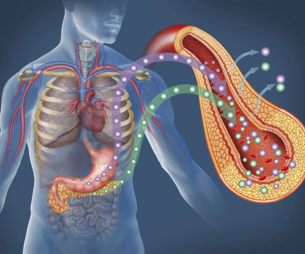 Jeśli  poziom  enzymów trzustkowych jest  podwyższony  lub  obniżony,  można być pewnym, że trzustka nie działa prawidłowo. Sprawdź, jakie są  normy  dla enzymów trzustkowych i jak interpretować wyniki badań.