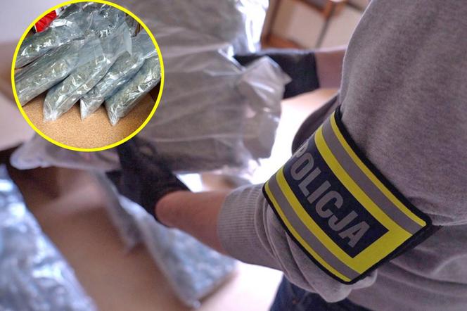 30 kilogramów narkotyków i trzech pseudokibiców w kajdankach. Spektakularna akcja policji