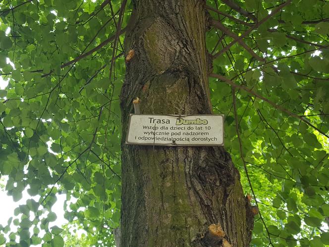 Park Linowy "Tarzan" w Lesznie na kilka dni przed otwarciem