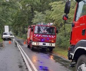 Mitsubishi wypadło na pobocze i uderzyło w drzewo. Nie żyje 36-latka. Zginęła z tej przyczyny?