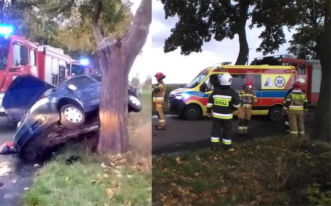 Lubieszewo: Wypadek osobówki. Kierowca trafił do szpitala [ZDJĘCIA]