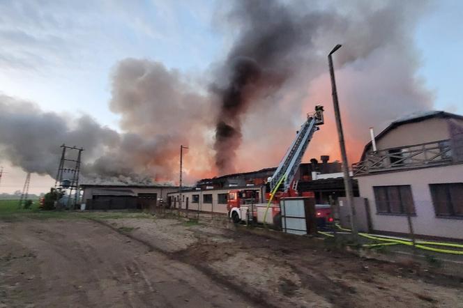 Ogromny pożar zakładu produkującego trumny. W akcji udział wzięły 32 zastępy straży pożarnej