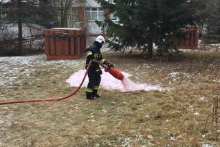 Alpiniści dla WOŚP w grudziądzki szpitalu