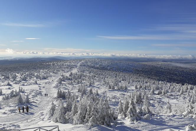 Na Dolny Śląsk wraca ZIMA! Najwięcej śniegu pojawi się w górach [PROGNOZA]