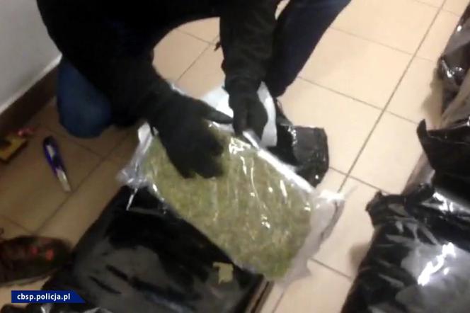 Marihuana w mandarynkach