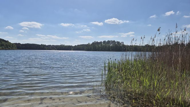 To jezioro w Olsztynie ma niezwykle czystą wodę. Jest kilka dzikich plaż, które świecą pustkami