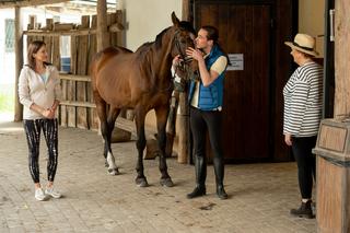 Barwy szczęścia, odcinek 2746: Cezary Rawicz (Marcel Opaliński)