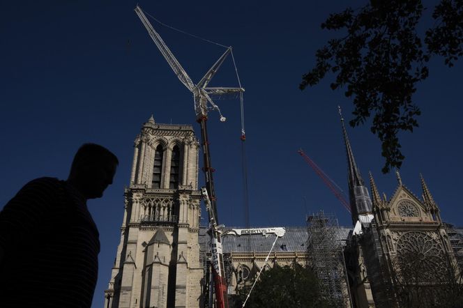 Katedra Notre Dame wkrótce otwiera się po pożarze! Zobacz, jak wygląda teraz