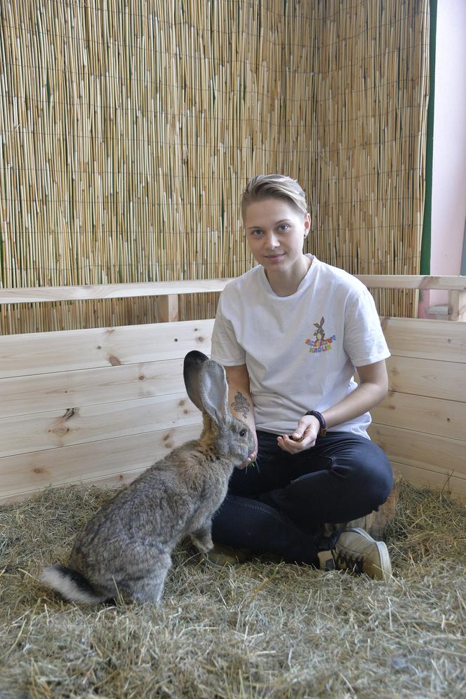 Mini ZOO Super Express