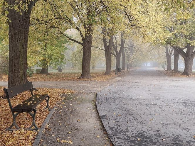 Zamojski Park jesienią