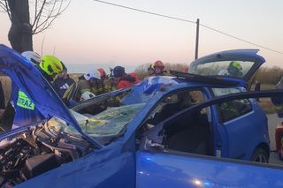 Samochód zderzył się z łosiem. Kierowca pilnie zabrany śmigłowcem LPR do szpitala