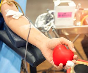 Dodatek 300 plus dla krwiodawców?