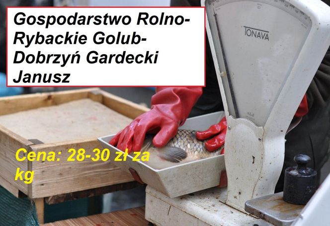 Ile zapłacimy za kilogram ryby z lokalnych gospodarstw rybackich? 