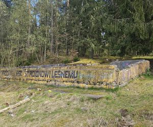 Stadion Leśny w Olsztynie dawniej i dziś. To tam bito rekordy świata w lekkiej atletyce