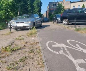 Będą nowe drogi dla rowerów. Masz na nie pomysł? Właśnie teraz jest czas na uwagi